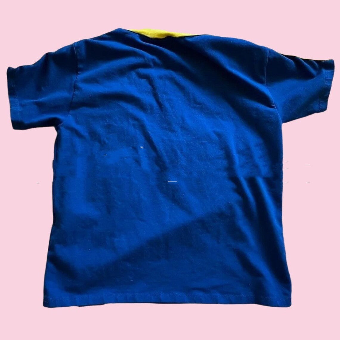 Women's Short Top Embroidered Chic